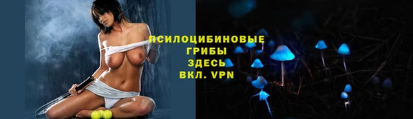 стаф Абинск