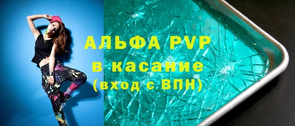 стаф Абинск