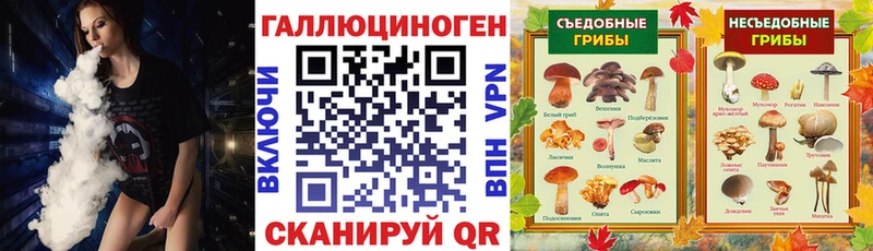 Псилоцибиновые грибы прущие грибы  Чекалин 